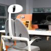 Ergonominė biuro kėdė su pogalviu || Kėdžių centras